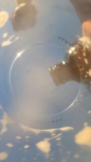 Le printemps est là 🌱
Comme la nature qui se réveille, ça bouge pas mal ici…

Alina est à fond sur son festival le @printempsdurire pendant que la brasserie continue d’évoluer avec de nouveaux projets en préparation.

Et qui dit nouvelle saison, dit aussi nouveau visage : on accueille Jade, notre toute première stagiaire, qui va nous accompagner quelques mois sur la production.🙌

Bref, ça s’active, et on a hâte de vous montrer tout ça très bientôt.🌷

#weitam #weitambrasserie #brasseurtoulousain #printemps #springday