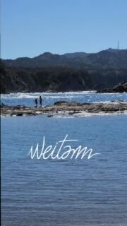 Inspiré par la nature.

#weitam #brasserietoulousaine #craftbeerfrance #craftbeertoulouse #biereartisanale