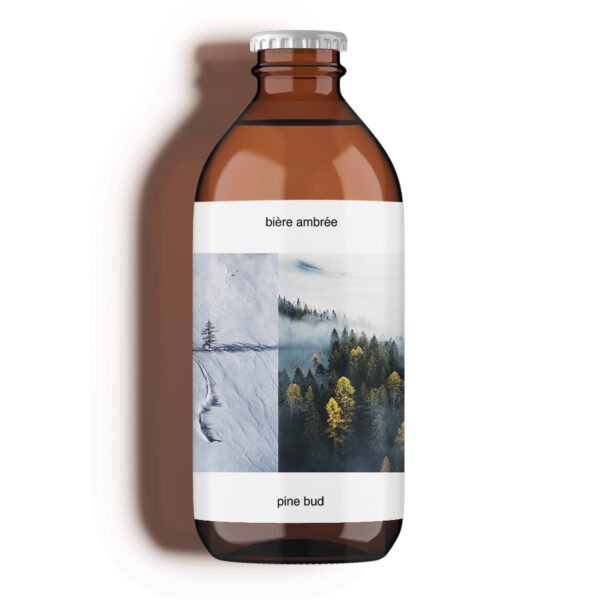 Bière ambrée bourgeons de pin pine bud