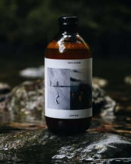 𝗗𝗲 𝗿𝗲𝘁𝗼𝘂𝗿 𝗲𝗻 𝘀𝘁𝗼𝗰𝗸 ⵑ 🌲
La Pine Bud vous emmènera tout droit dans un refuge de montagne grâce à son infusion de bourgeons de pins, de poivre et sa levure de saison pour le côté sec et fumé !

Laissez-vous tenter par 33cL de balade en montagne. ⛰️

+ d'infos : https://weitam.fr/produit/pine-bud-33cl/
🛒 Retrait tous les jeudis à la brasserie, de 16h à 19h.
👉 Disponible en bouteille de 33cL et en fût 30L
📦 Envoi partout en France.

Photos et étiquette : @julien_orssaud 

L'abus d'alcool est dangereux pour la santé, à consommer avec modération.
#weitam #weitambeer #weitambrasserie #brasserietoulousaine #brasserietoulouse #brasseriecugnaux #toulousemaville #cugnauxmaville #pinebud #bièreambrée #mountainlover #craftbeerlover #craftbeertoulouse #brasseurtoulousain #brasserieartisanale